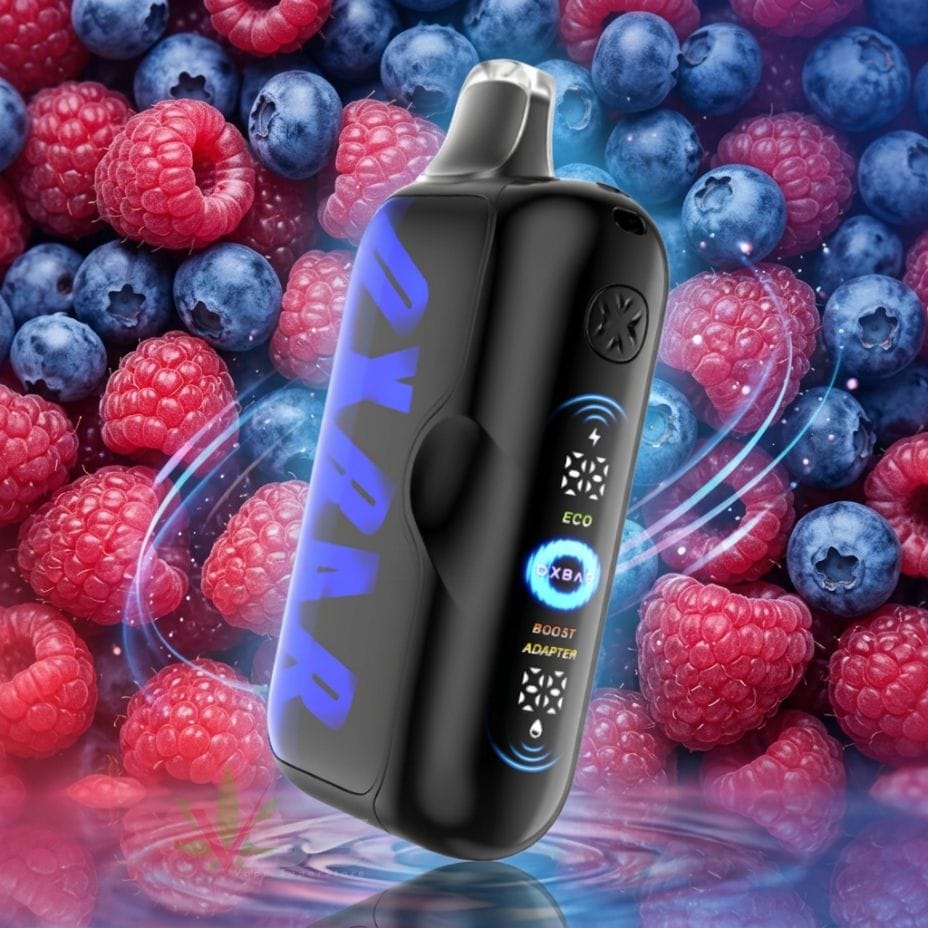 Oxbar G100K Disposable Vape - Blueberry Raspberry 100K / 20mg Winkler Vape SuperStore and Bong Shop Manitoba Canada