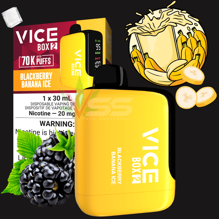 Vice Box 2 Disposable Vape-Blackberry Banana Ice Winkler Vape SuperStore and Bong Shop Manitoba Canada